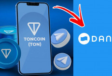 Mudah dan Aman! Begini Cara WD Toncoin di Wallet Telegram Jadi Saldo DANA