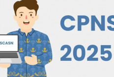 CPNS 2025 Masih Tanda Tanya, Ini Fakta Terbaru dari BKN dan Kemenpan-RB