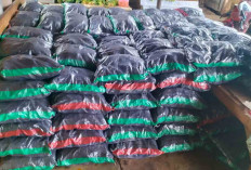 Apinya Tahan Lama, Arang Batok Paling Diburu Pembeli Jelang Malam Pergantian Tahun 2026