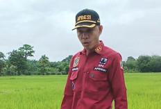 DD Dipangkas 65%, Kades di Muratara Tunggu Kepastian Dana Desa  