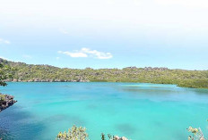 Liburan ke Pulau Rote Indonesia, Ini 7 Tempat Wisata yang Wajib Kalian Kunjungi