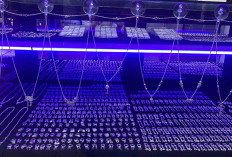 Harga Perak Mulai Naik, Kini Makin Diminati