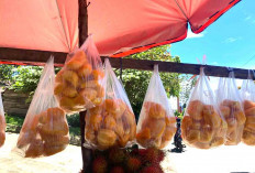 Nangka yang Dijual Berasal Dari Bibit Bantuan Pemerintah 