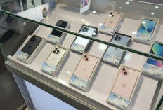 Daftar Harga iPhone Lengkap di Maret 2026, Mulai dari iPhone 17 hingga iPhone 11