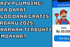 Crazy Plumbing: Cara Dapat Saldo Dana Gratis Terbaru 2025, Benarkah Terbukti Membayar?