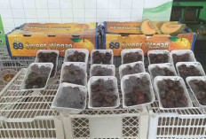 Kurma Mulai Ramai Dijual Jelang Ramadan, Harga Beragam Sesuai Kualitas