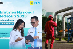Hari Pertama Dibuka, Rekrutmen Nasional PLN Group Diminati Puluhan Ribu Pendaftar