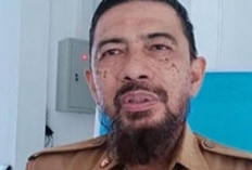 30 PPPK Paruh Waktu Tak Lagi Kerja, 25 Mengundurkan Diri