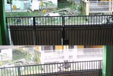 Saksi dan Bukti Terpenuhi, PH Minta Terduga Pelaku Penganiayaan IRT di Lubuk Linggau Ditangkap