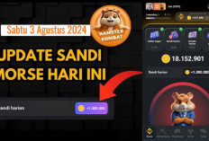 Baru Sandi Harian Hamster Kombat Hari Ini 3 Agustus 2024, Dapatkan hingga Jutaan Koin Gratis 