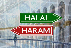 Munculnya Halal dan Haram Pajak? Bukan Soal PPN 12 Persen