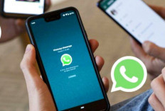 2 Trik Mudah Mengirim Video Panjang di WhatsApp Agar Tidak Terpotong