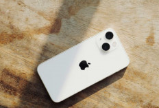 Meski Ada iPhone Baru, iPhone 13 Tetap Favorit! Ini Update Harganya