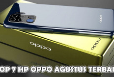 Top 7 Rekomendasi Oppo Agustus 2024, Layar Terbaik Performa Tangguh Kamera Super Jernih