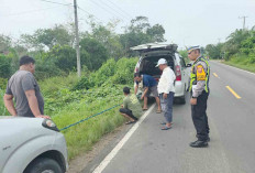 Ngebut di Jalan, 44 Orang Tewas Lakalantas di Muratara