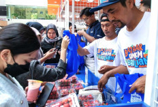 Bisnis Stroberi Pemberdayaan BRI,  dengan Pendampingan Komprehensif Berbuah Manis