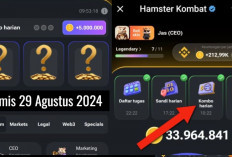 Combo Harian Hamster Kombat Hari Ini 29 Agustus 2024, Garap Hingga 5 Juta Koin Gratis