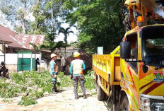 Oktober 2025 PLN ULP Lubuk Linggau Pemeliharaan Jaringan Perbaikan Konstruksi, Cek Jadwalnya 