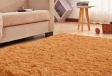 10 Tips Dan Langkah-Langkah Merawat Karpet di Rumah