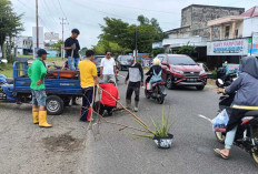 Kades A Widodo Ajak Perangkatnya Gotong Royong Tambal Jalan Berlubang