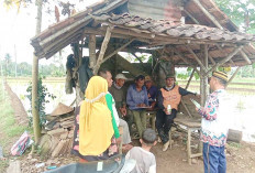 Petani Padi Sawah Desa Air Lesing Dianjurkan Menggunakan Pestisida Biologi