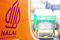 Truk Logistik Wajib Sertifikasi Halal, Wajib Tahu Alasan Pentingnya? Pengamat Pikirkan Dulu