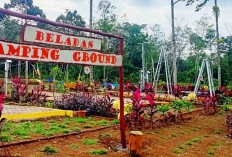 Kebon Kito Lubuk Linggau Menyimpan Spot Agriwisata Tambah Pengalaman Tak Terlupakan