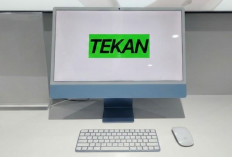 iMac 24 Inci M3 Resmi Hadir Tawarkan Performa Tangguh dan Warna Lebih Segar