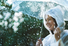 Prakiraan Cuaca Sumatera Selatan Senin, 18 Agustus 2025, Mayoritas Berawan, 6 Wilayah Hujan Ringan