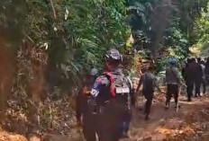 Puluhan Alat Berat Dikeluarkan dari Area Tambang Emas Ilegal Muratara