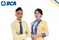 Fresh Graduate Merapat Bank BCA  Buka Lowongan Kerja, Ini Kualifikasinya