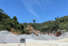 Sambut Hari Pelanggan Nasional, PLN UP3 Jambi Perkuat Layanan untuk PT Alam Barajo