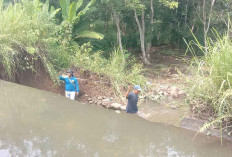 Sampah Menumpuk, Irigasi Wonokerto Tugumulyo Jebol Bikin Petani Musi Rawas Komplain