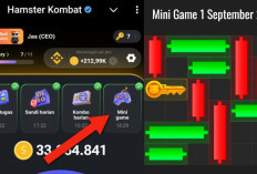 Kunci Mini Game Hamster Kombat Hari Ini Minggu 1 September 2024, Ini Polanya