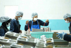 Tegas, 1.152 Dapur MBG Masih Disetop Sementara 