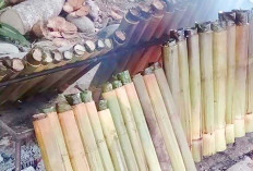 Lemang Cerminan Kedaulatan Kedutaan Sriwijaya, Ketelitian dan Kesabaran Dituntut Setiap Proses