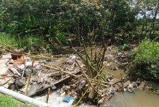 Petani Desa Sukorejo, Minta Saluran Irigasi Yang Jebol Segera Diperbaiki