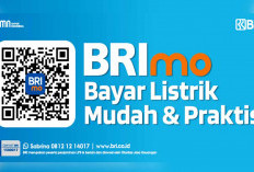 Bayar Tagihan Listrik dan Beli Token Listrik Melalui Aplikasi BRImo Lebih Mudah, Begini Langkahnya