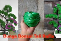 Hanya dari Tali Rafia Bisa Bikin Bunga Bonsai? Mau Caranya Yuk Simak Langkah-langkahnya Disini