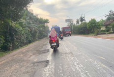 Jelang Arus Mudik Lebaran 2026, Begini Kondisi Terkini Jalan Palembang - Betung