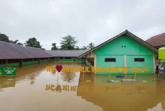 300 Rumah dan 10 Sekolah Terdampak Banjir di Kecamatan Rawas Ilir Muratara