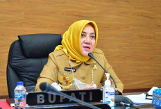 Bupati Musi Rawas, Hj Ratna Machmud, Ajak Warga Musi Rawas Dan ASN Lakukan Aktivasi Coretax DJP