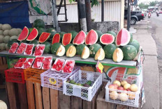Toko Jay Buah Cabang Marga Mulya Sediakan Buah Segar untuk Eceran dan Grosir