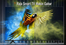 Raja Smart TV Makin Gahar, 7 Smart TV Terbaik 2024 dengan Harga Terjangkau Resolusi 4K 
