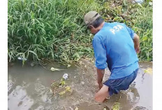 Petani Desa Air Satan Musi Rawas Kesulitan Dapat Air