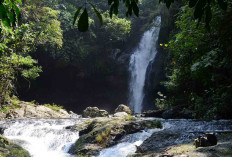 Pesona Air Terjun Curug Tinggi, Surga Tersembunyi di Hutan Desa Taba Remanik
