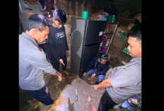 Siswi SMP Aniaya Guru SD Hingga Meninggal Dunia, Begini Kronologinya