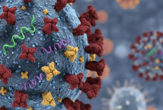 Ramai Soal Meningkatnya Kasus Super Flu, Ini Penjelasan Kemenkes 