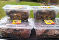 Bisnis Pisang Coklat Lumer, Warga G2 Dwijaya Musi Rawas Raup Cuan Jutaan Rupiah