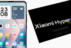 Xiaomi, Redmi, dan Poco Update HyperOS , Berikut 50 HP dan Tablet yang dapat Pembaruan